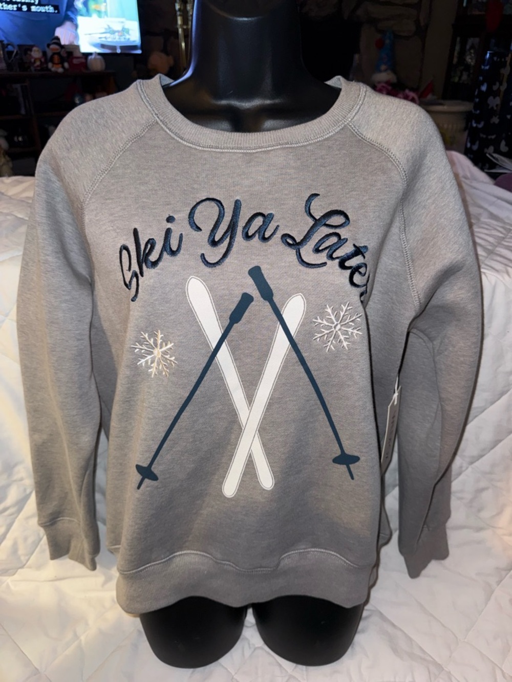 WildFox Brand New Ski You Later Sweatshirt